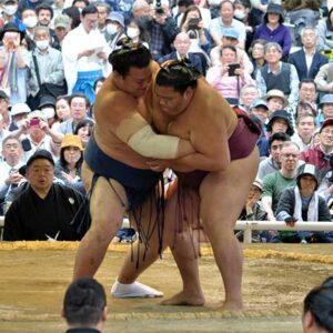 Fakta Menarik Tentang Sumo