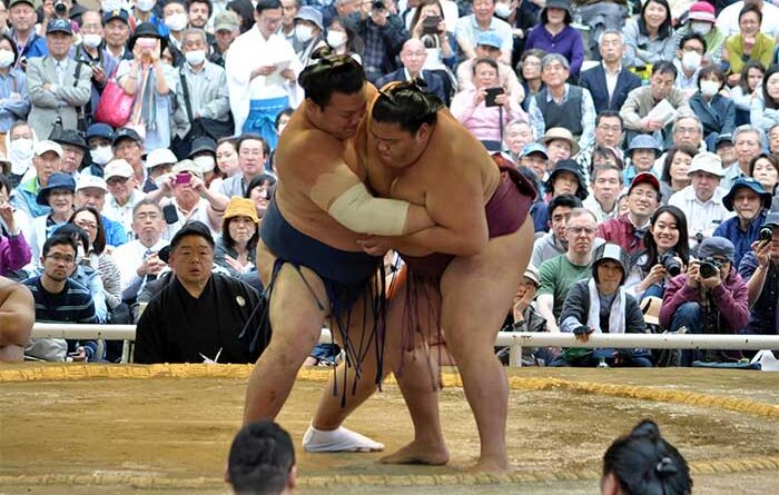 Fakta Menarik Tentang Sumo