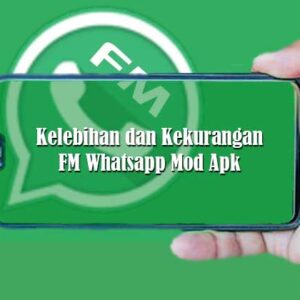 FM Whatsapp Mod Apk