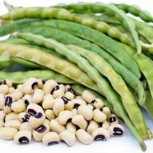 black eyed pea