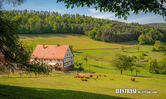 inspirasi kebun dan peternakan kecil di farm house